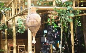 Mango Tree House